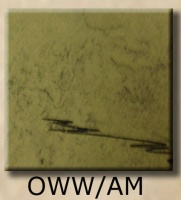 OWW-AMsample.jpg
